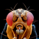 Illustration for article titled Will I Evolve Into a Being of Pure Energy?